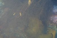 
DSC00089